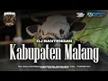 Lagu DJ BANTENGAN‼️ KABUPATEN MALANG || BAKASURA KIDAL TUMPANG || REMIXER BY : DJ TWENTY ONE🔥