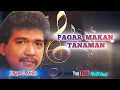 Download Lagu IMAM S ARIFIN_Pagar Makan Tanaman