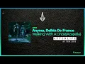 Anyma, Delhia De France - Walking With A Ghost (Acapella) [Afterlife Rec] AL082
