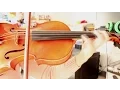 Download Lagu Neko Atsume Theme (VIOLA COVER) ♫ ♪ ಠ_ಠ