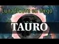 Download Lagu TAURUS ♉ BELIEVE IN MAGIC!! 🌠 🪄 IMPORTANT POSITIVE CHANGES!! 👑💪 #taurus #taurus #tarot