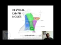Cervicofacial Lymphadenopathy