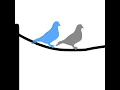 Download Lagu two birds..