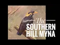Lagu Southern Hill Mynah (Kandy 🇱🇰)