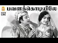 Lagu Pavalakodiyile - HD Video Song | பவளக்கொடியிலே | Panam Padaithavan | MGR | TMS