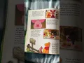 Download Lagu Winnie the Pooh annual 2004 Flickthrough 