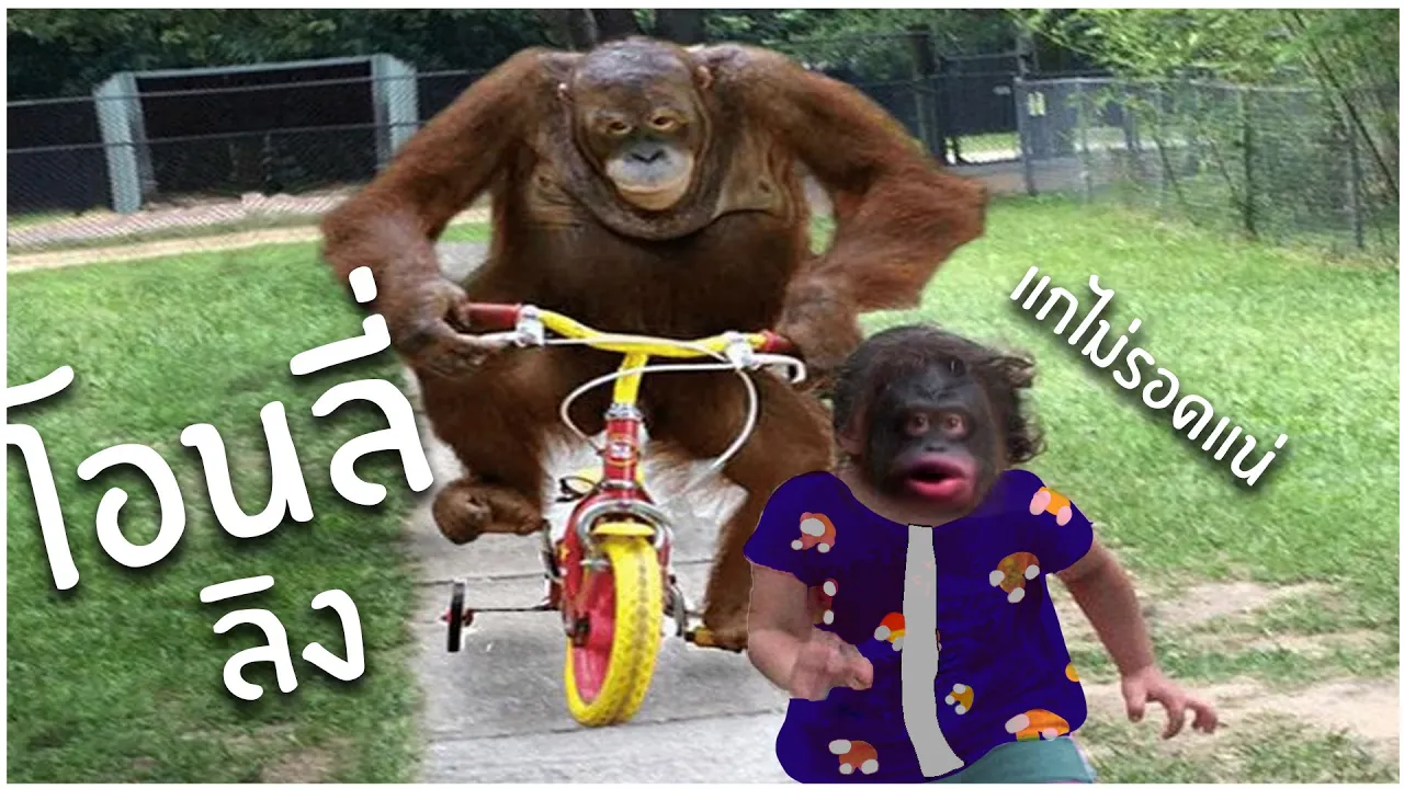 แค่ลิงขึ้น ลิงอย่างเดียว | Ultimate monkey race