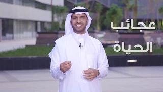 سر الوصول إلى القمة دندنها