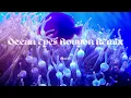 Billie Eilish - Ocean Eyes Bouyon Remix