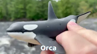 Sea Animal Scavenger Hunt! 🕵️‍♂️ Finding Hidden Toys by the River