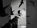 Download Lagu Tourner Dans Le Vide - Indila || Lyrics || Aesthetics || Songs || Slowed || Speed up #viral #lyrics