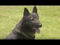 Bay County Sheriff s Office provides programs to find missing people more easily