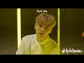 Download Lagu Seventeen - Flower 🌻🌸