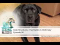 96 Data Structures - Hashtable vs Dictionary