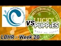 LBHR Week 20 - Sacramento Car Detailing vs Puppies Make Me Happy