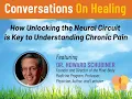 Download Lagu An Interview with Dr. Howard Schubiner, Founder \u0026 Director of the Mind-Body Medicine Program