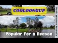 COOLOONGUP - Popular for a Reason