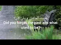 Julia Boutros - La BAhlamak [Arabic words and English translation] | جوليا بطرس - لا باحلامك