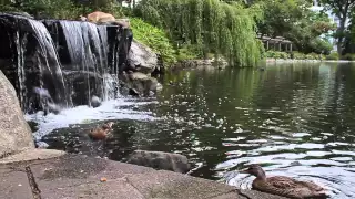 Life is Like Sailing – August Cruise – Part 3