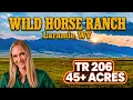 Wyoming Land for Sale 45 Acres on Little Lake Hattie Wild Horse Ranch TR 206