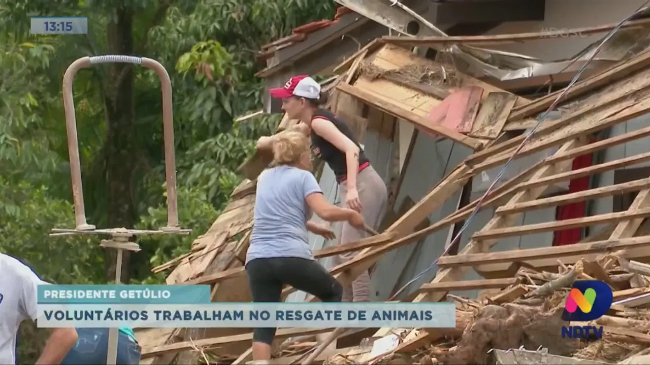 Voluntários trabalham no resgate de animais em Presidente Getúlio