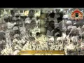 Download Lagu ((  Sourate Az-Zalzalah and sourate Al-Adiyat ))  - Sheikh Bandar Balila -