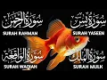 Lagu Gorgeous Recitation Of Surah Yaseen, Surah Rahman, Surah Waqiah, Mulk ep 00398 #qurantilawat 