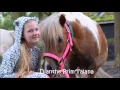 Download Lagu Loverfilmpje 2016 ll Ponyparkcity