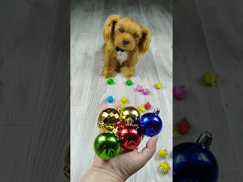 Dog 🐶 Balls 🔥🌈 Reverse video #dog #marblerunandmore #reverse