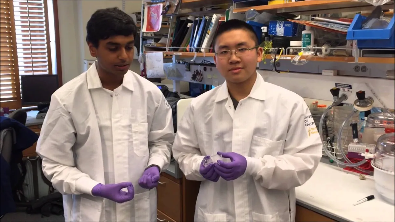 Applying Microfluidic Technologies to Create an Integrated Point of Care Diagnostic Device