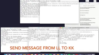 RMI Chat Application Demo