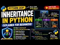 Python Inheritance Explained for Beginners OOP Inheritance in Python