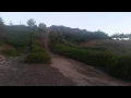 Willow St Central Park - Murrieta rough patch 2