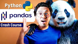 Python Pandas Crash Course 2025