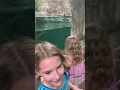 CeCe Rose TV Seneca Park Zoo Penguins