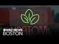 Kratom sales in Massachusetts restricted in new emergency order