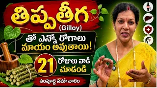ఇదొక వరం ఆయుర్వేదంలో - ఎన్నో రోగాలు మాయం అవుతాయి ఈ ఒక్క తిప్పతీగ తో