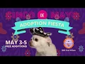 El Paso Animal Services - 2019 Cinco de Mayo Adoption Fiesta