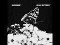 Black Butterfly