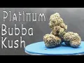 Platinum Bubba Kush Strain Review