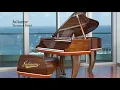 Download Lagu A Showcase of Steinway Custom Pianos  |  Steinway Piano DC