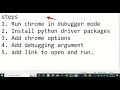Open driver on existing browser Selenium Python