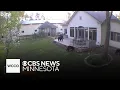 Family of black bears paying daily visits to Minnesota home
