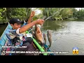 Download Lagu Di Serang Secara Beruntun Oleh Predator Muara sampai kewalahan. #fishing