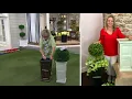 Wicker Park 24 Tall Tapered Urn Planter on QVC