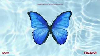 Molotof X Reem Nour Al Ain ريم و مولوتوف نور العين Official Audio 