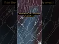 What are the Smallest Spiders in the World