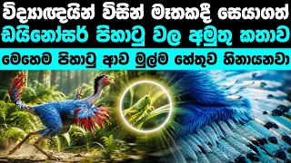 ඩයිනෝසරයින්ට නූතන පිහාටු ලැබුනු ඉතිහාසය | The Terrifying Reason Flightless Dinosaurs Grew Feathers