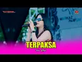 Download Lagu TERPAKSA - INTAN AFIFAH - OM SAVANA SAKJOSE - MARKAZ PARFUM