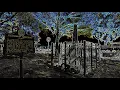 A Closer Look at Historic Cartersville